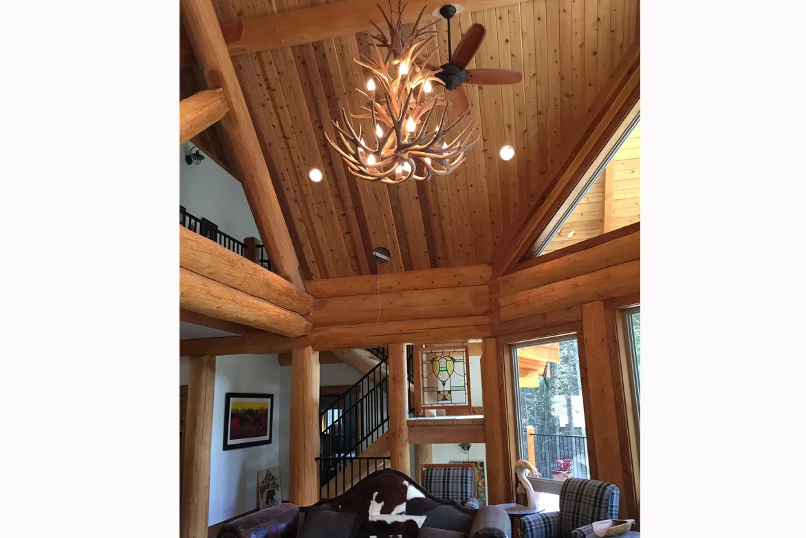 Antler Chandelier - 12 Light XL Mule (38"W x 40"H)