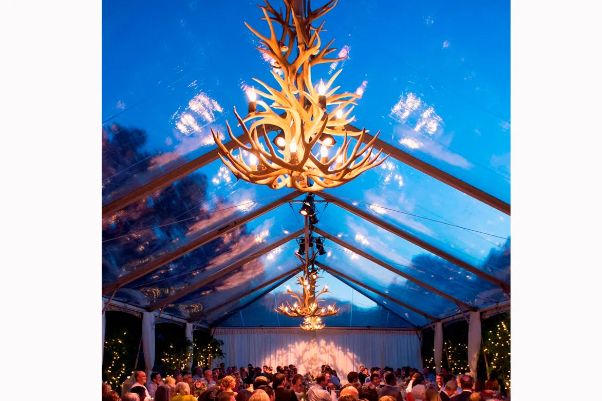 Antler Chandelier - 12 Light XL Mule (38"W x 40"H)