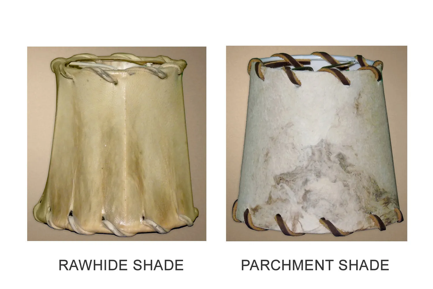 Antler Chandelier - 12 Light XL Mule (38"W x 40"H)