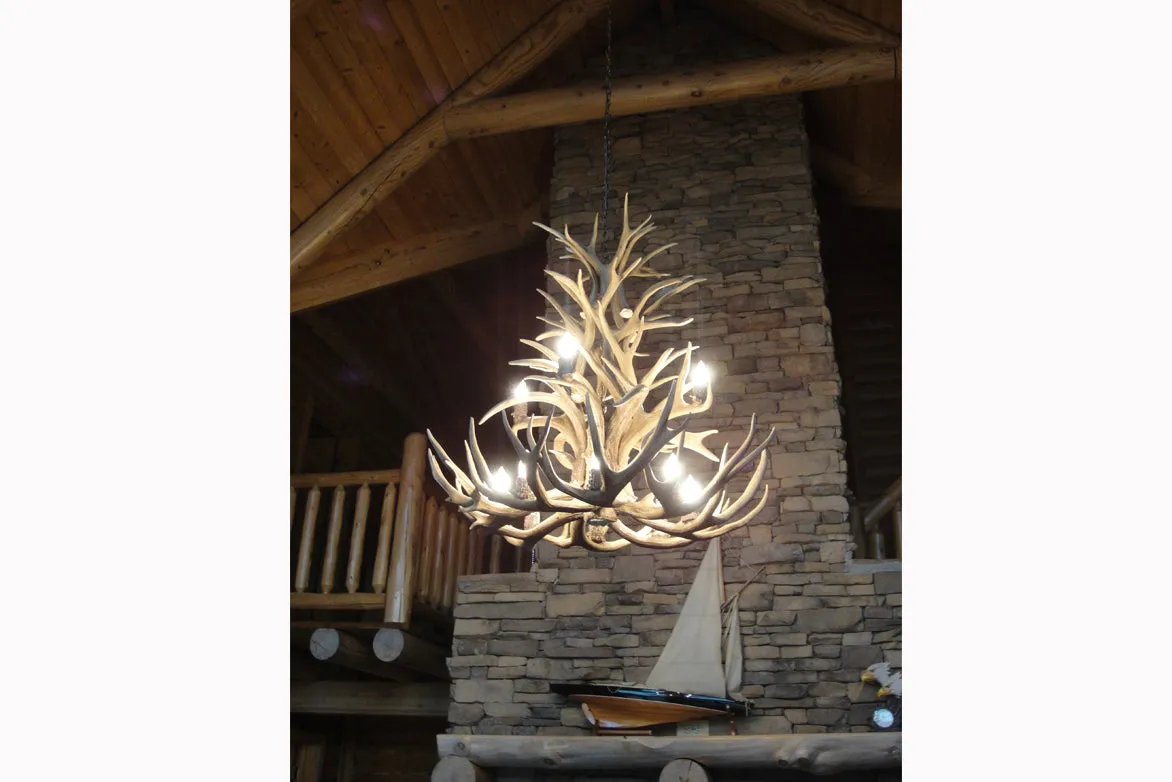 Antler Chandelier - 12 Light XL Mule (38"W x 40"H)