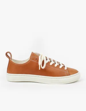 Bull Terrier Low Smooth