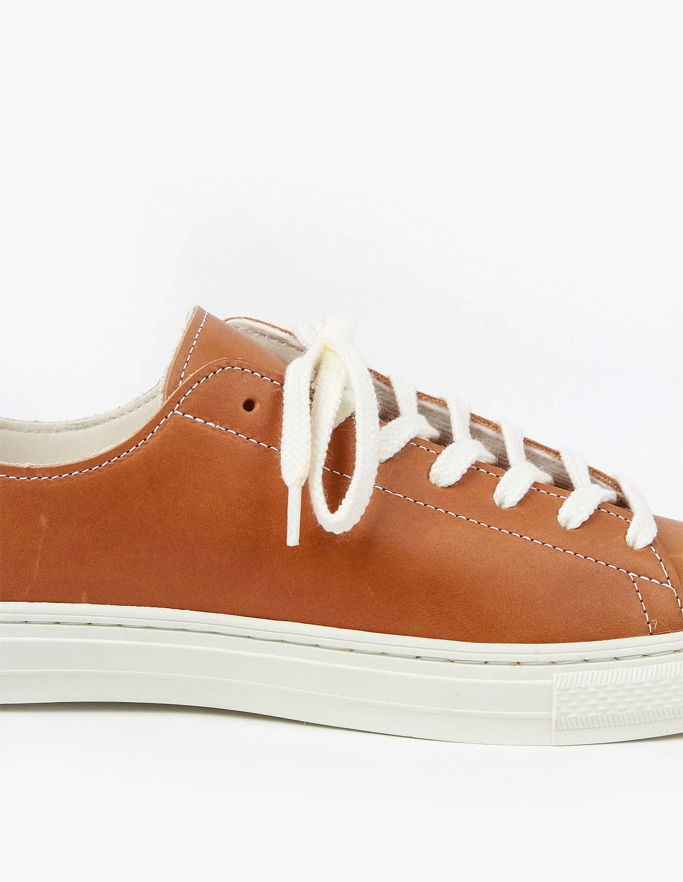 Bull Terrier Low Smooth