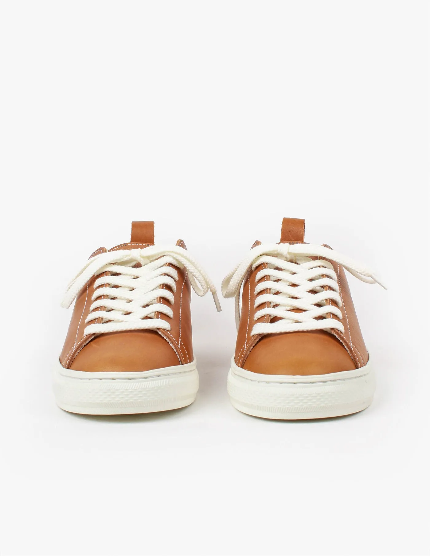 Bull Terrier Low Smooth