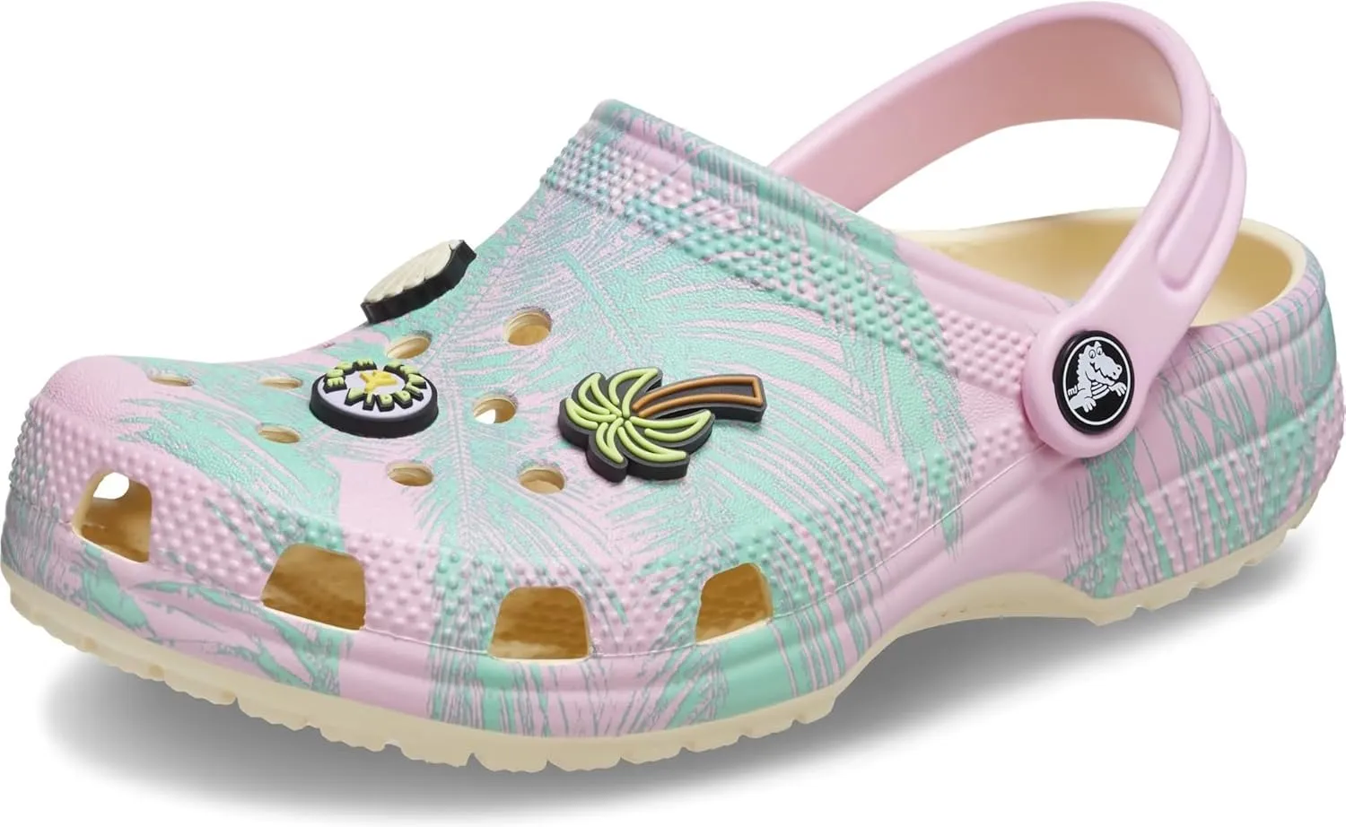 Crocs Unisex-Child Classic Spring Break Clog
