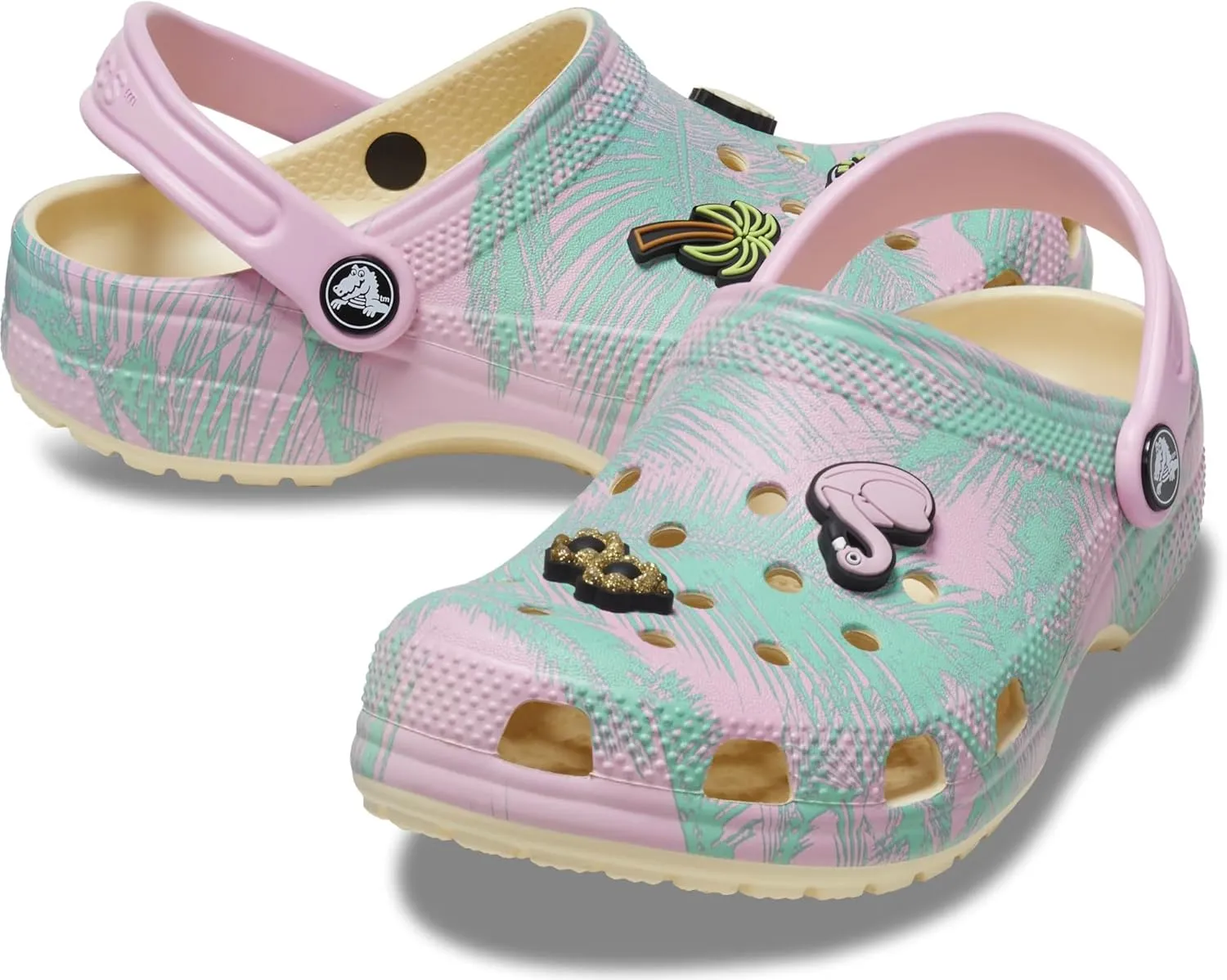 Crocs Unisex-Child Classic Spring Break Clog