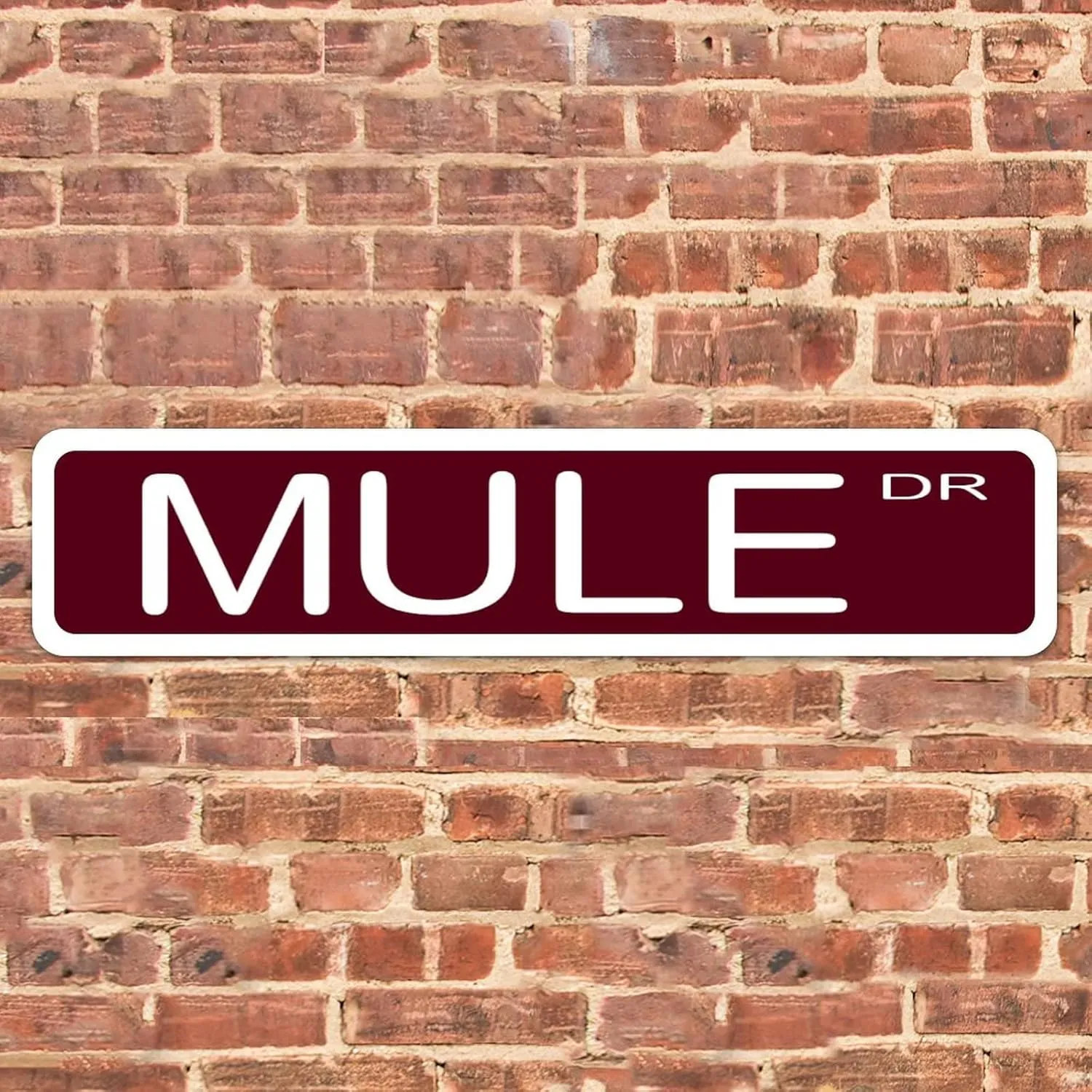 Mule Street Signs Novelty 4" x 18" Road Sign Aluminum Metal Door Yard Plaque Decor for Home Indoor Outdoor Man Cave Business