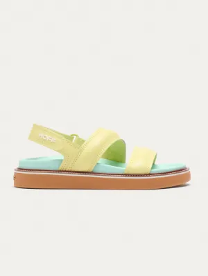 ROAD LIME